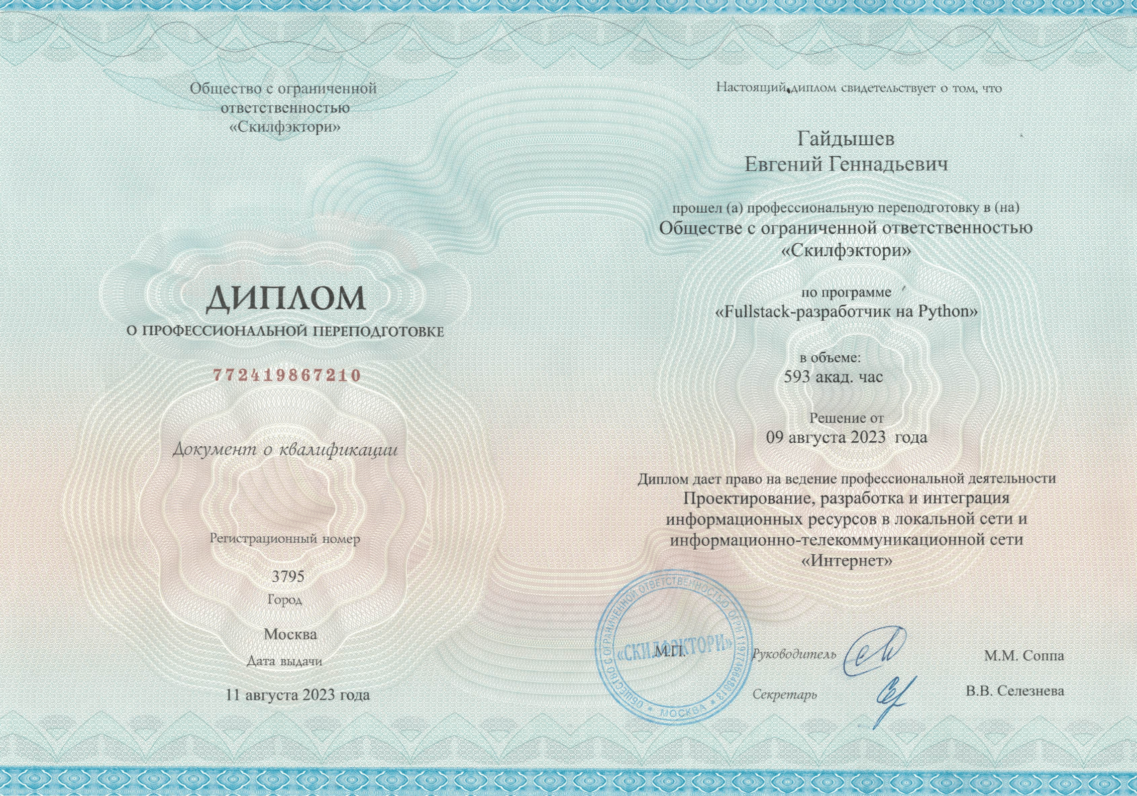 Skillfactory diploma